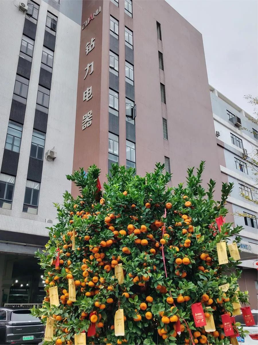 Első szállítmány a kínai újév után: nagy nyomatékú fordított ozmózis szivattyúk Irány a tengerentúli piac – zuanli ro szivattyú!